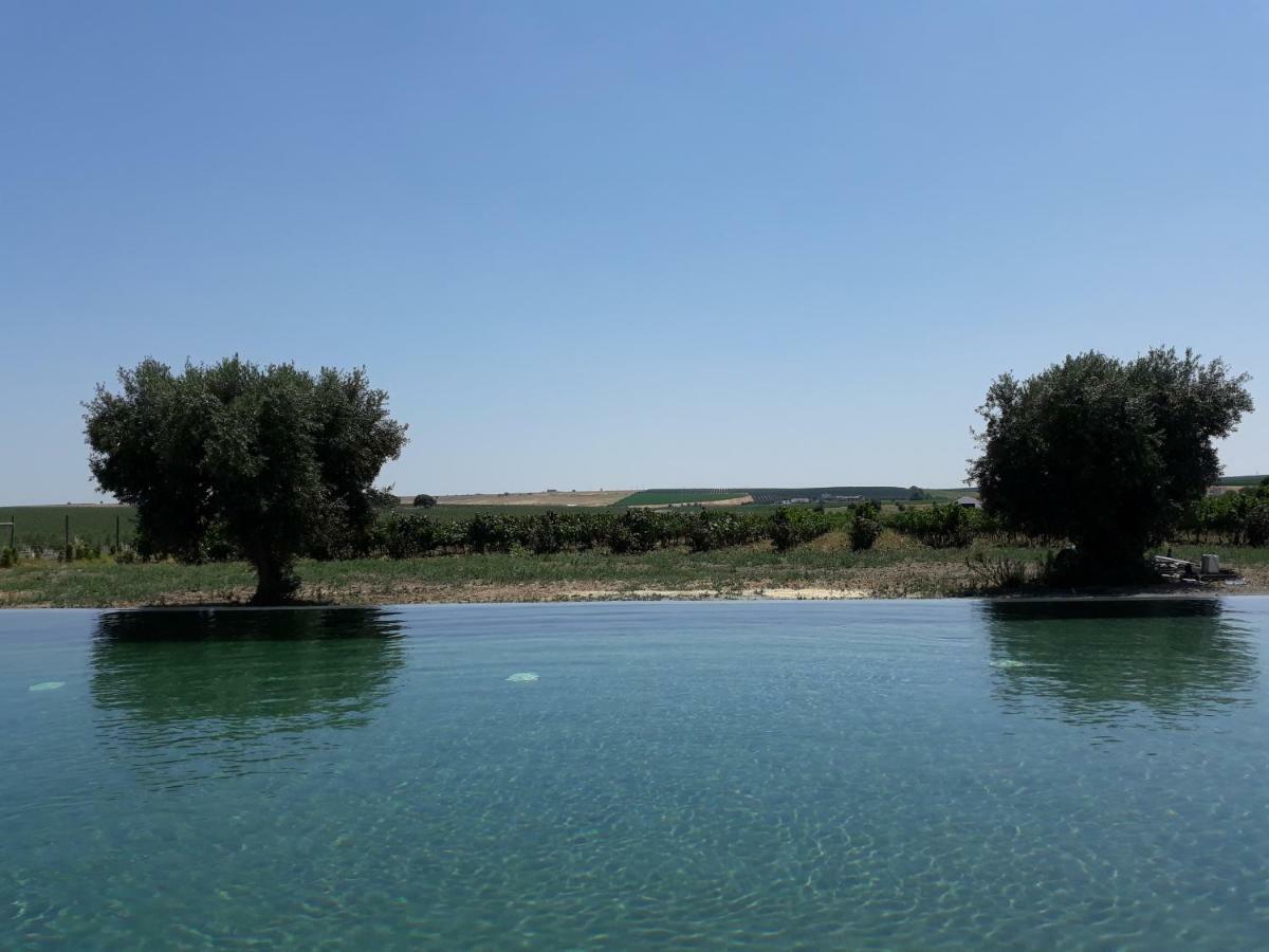 Terras - Agroturismo & Vinhos Beja Luaran gambar